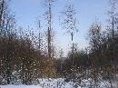 082_DSC00160.JPG