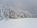 087_DSC00167.JPG