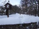 090_DSCF8808.JPG
