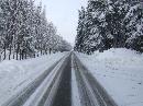310_DSCF8934.JPG