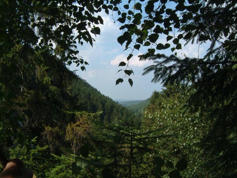 030629 173926 060.jpg