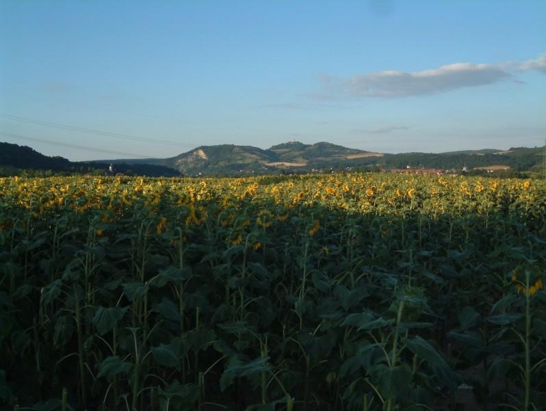 030713 202237 170.jpg