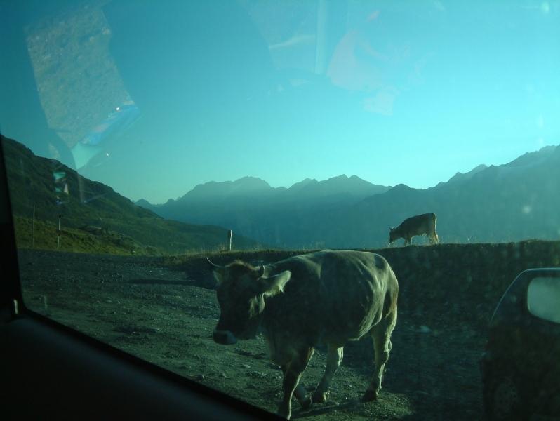 030803 072529 080.jpg