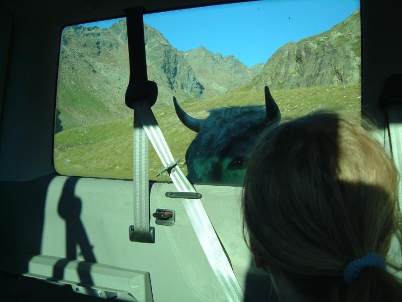 030803 072822 030.jpg