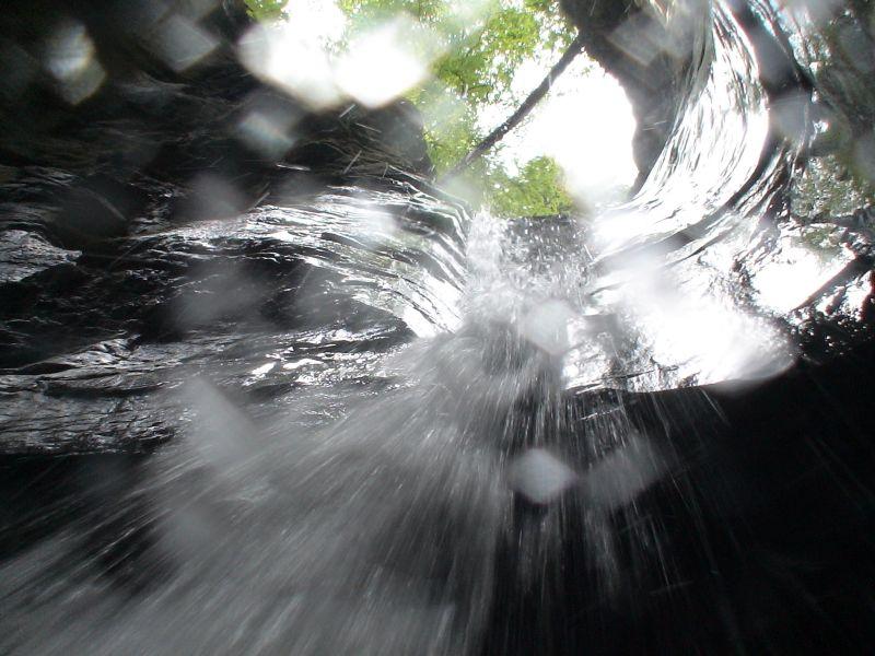 05-08-05 141556 02 Schellaine.JPG