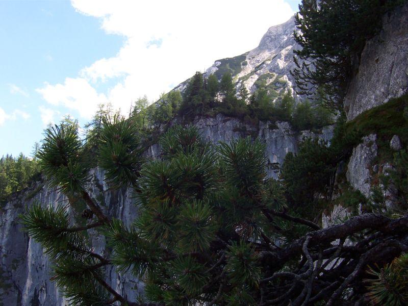 05-08-12 130000 16 Klettersteig.jpg