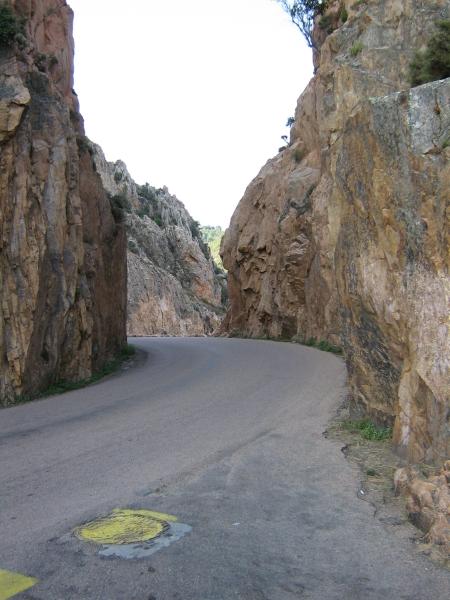 060723 084731 140_800x600.jpg