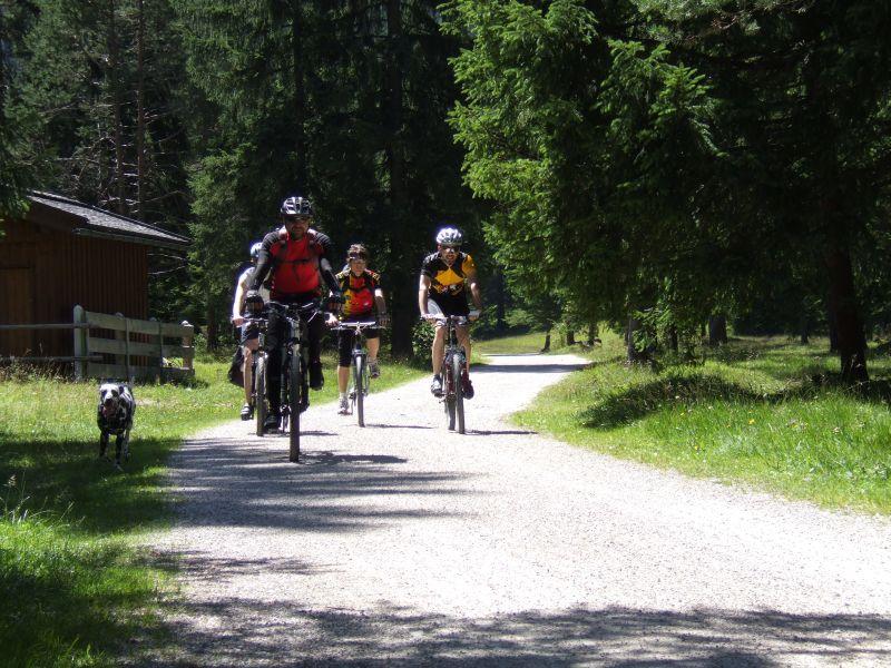 06-08-15_133352_01_mtb_lautersee.jpg