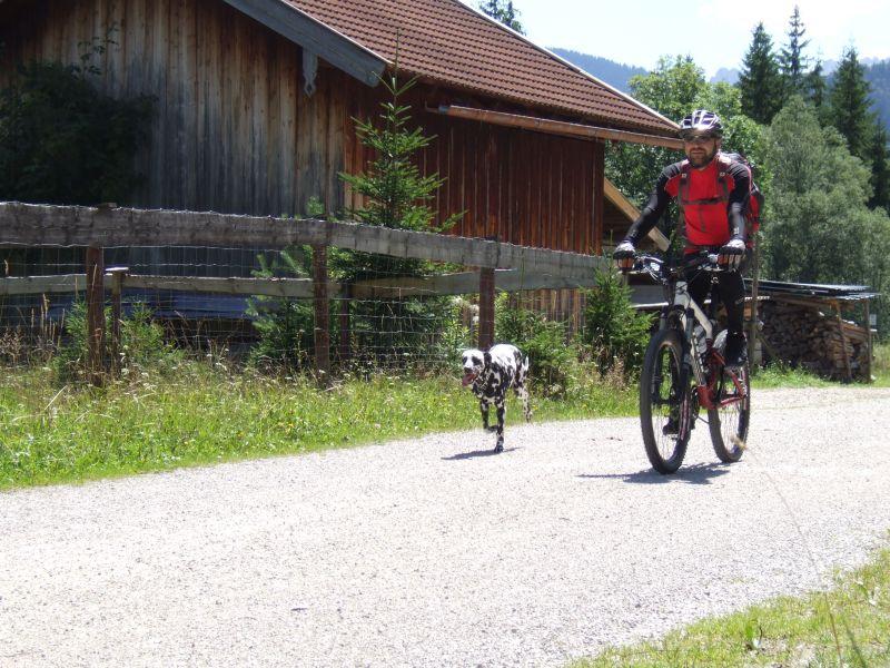 06-08-15_133814_05_mtb_lautersee.jpg