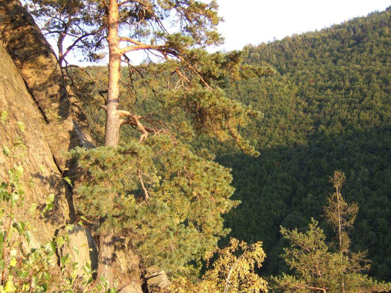 060917 181733 16 Schwarzatal.jpg