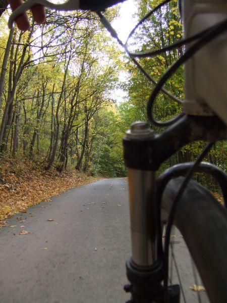 061022 152644 007 Skiroller.jpg