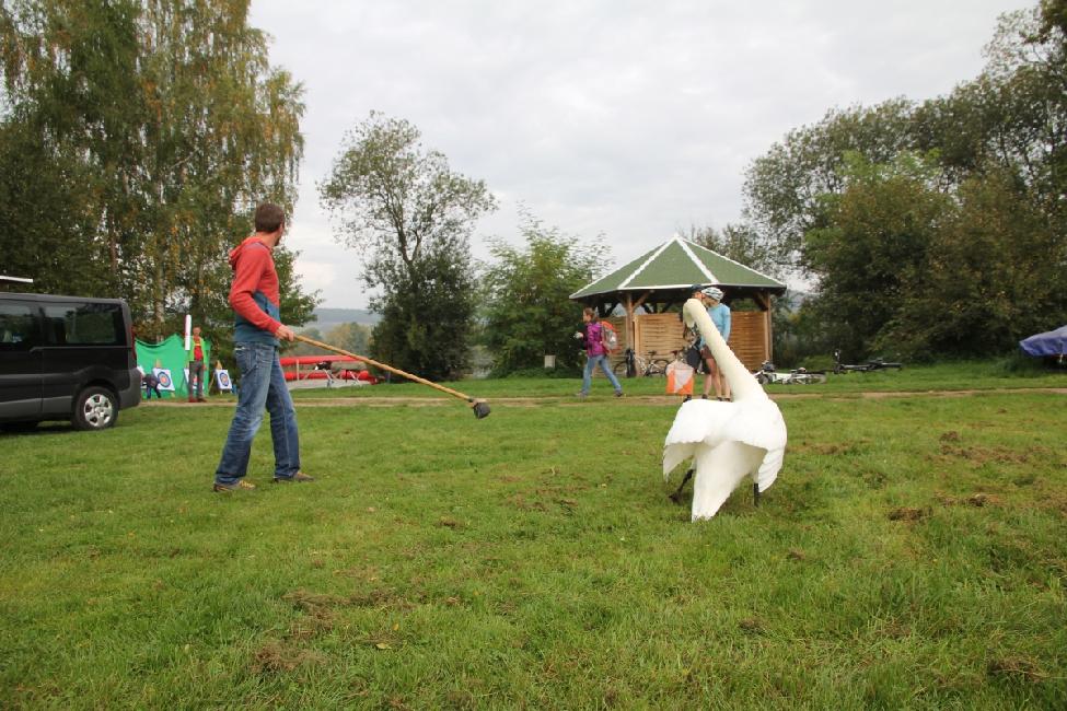 2017-09-30_104951_IMG_4015.jpg