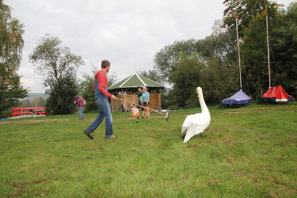 2017-09-30_104953_IMG_4016.jpg